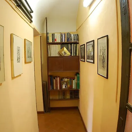Miomay Turin